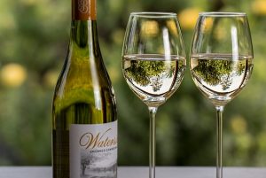 pitný režim, Pitný režim – prečo je dôležitý, ako ho dodržiavať + 3 domáce limonády