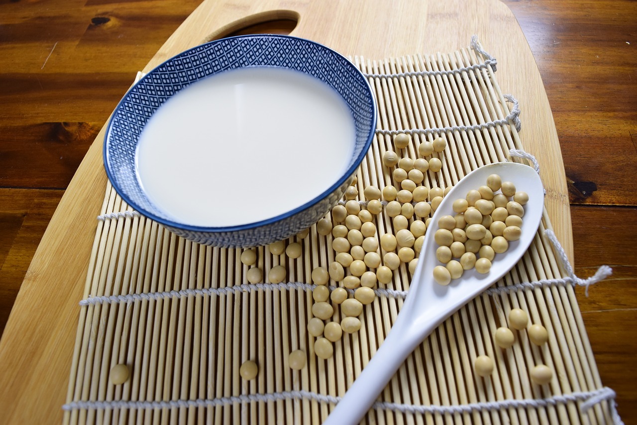 veg&aacute;nske prote&iacute;ny, Veg&aacute;nske prote&iacute;ny: s&oacute;jov&yacute;, ryžov&yacute;, hrachov&yacute; + recept na veg&aacute;nsku zmrzlinu