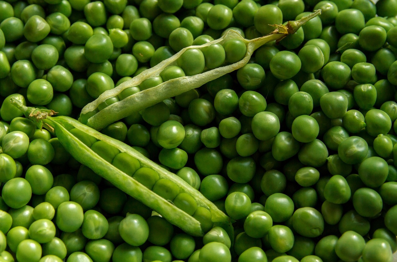 veg&aacute;nske prote&iacute;ny, Veg&aacute;nske prote&iacute;ny: s&oacute;jov&yacute;, ryžov&yacute;, hrachov&yacute; + recept na veg&aacute;nsku zmrzlinu