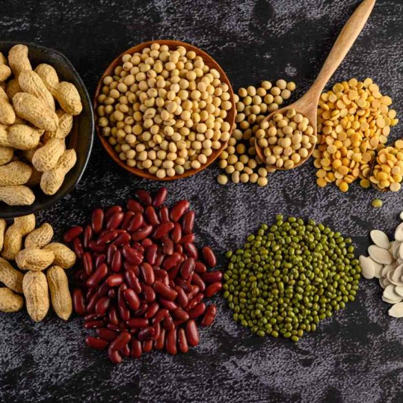 veg&aacute;nske prote&iacute;ny, Veg&aacute;nske prote&iacute;ny: s&oacute;jov&yacute;, ryžov&yacute;, hrachov&yacute; + recept na veg&aacute;nsku zmrzlinu