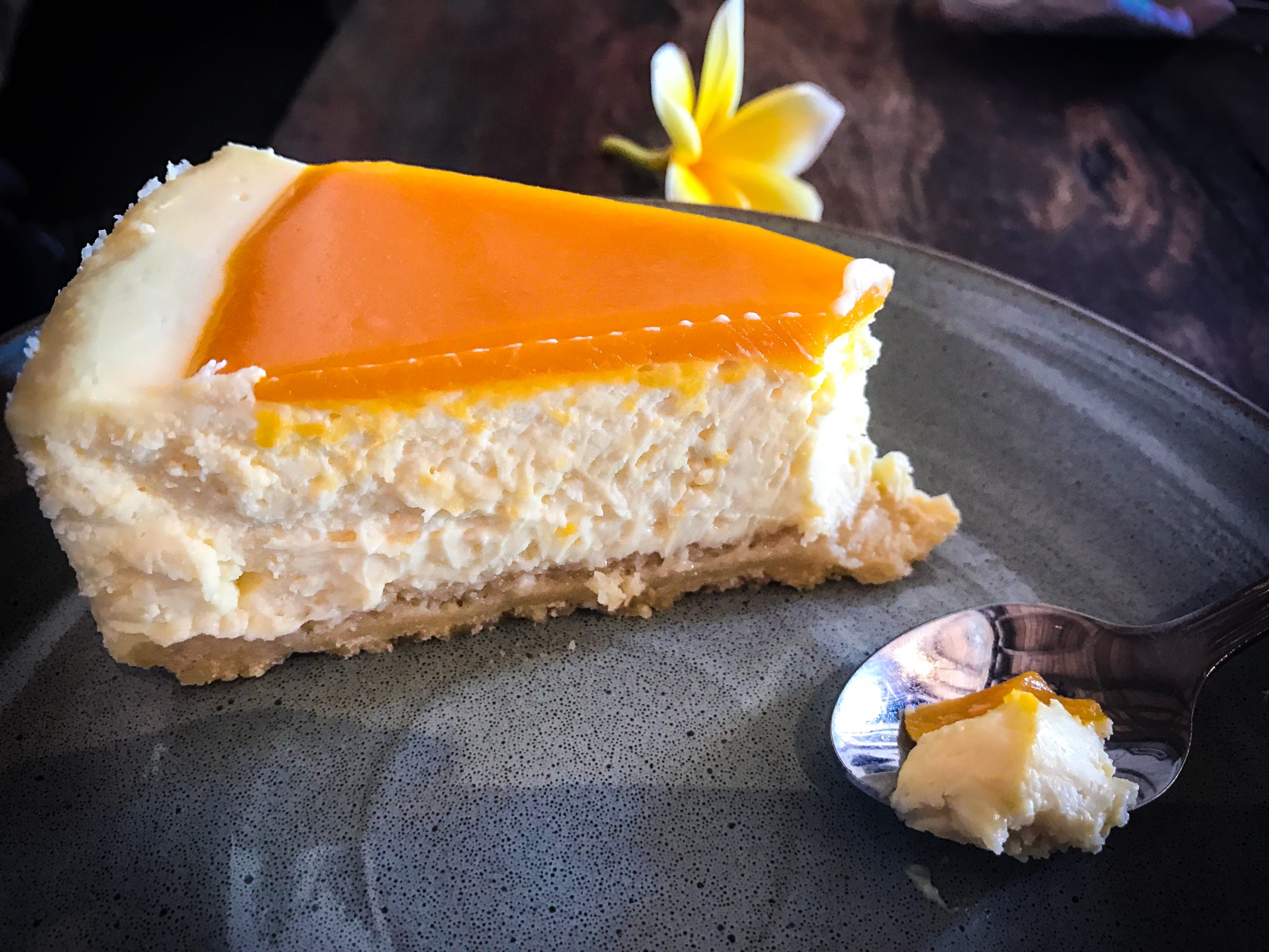 torta, Torta – sladká pochúťka na milión spôsobov