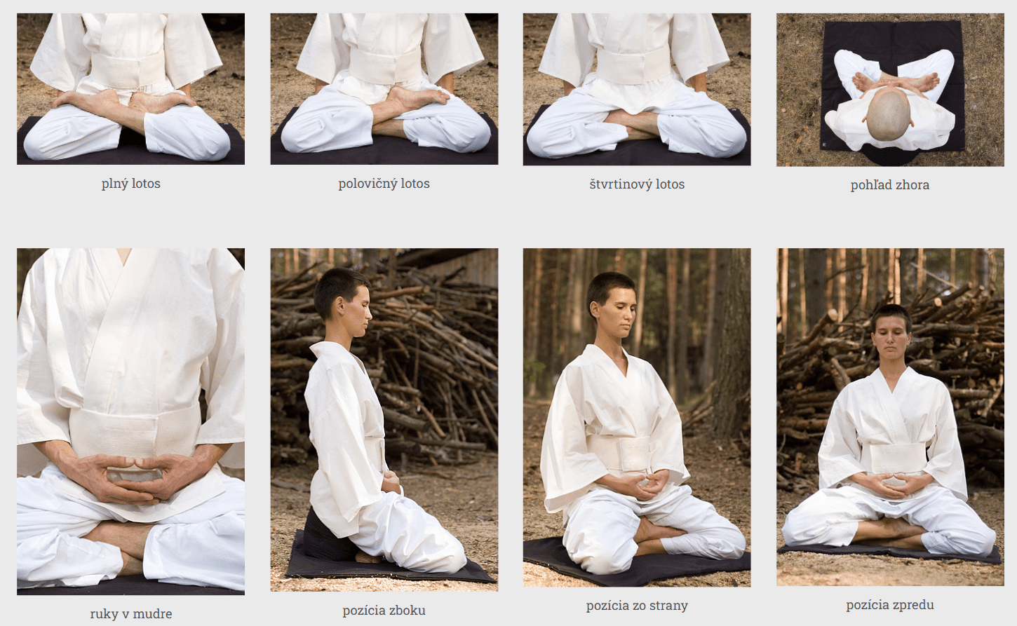 zenov&aacute; medit&aacute;cia, Zenov&aacute; medit&aacute;cia: Zen terapia alebo ako pochopiť sam&eacute;ho seba