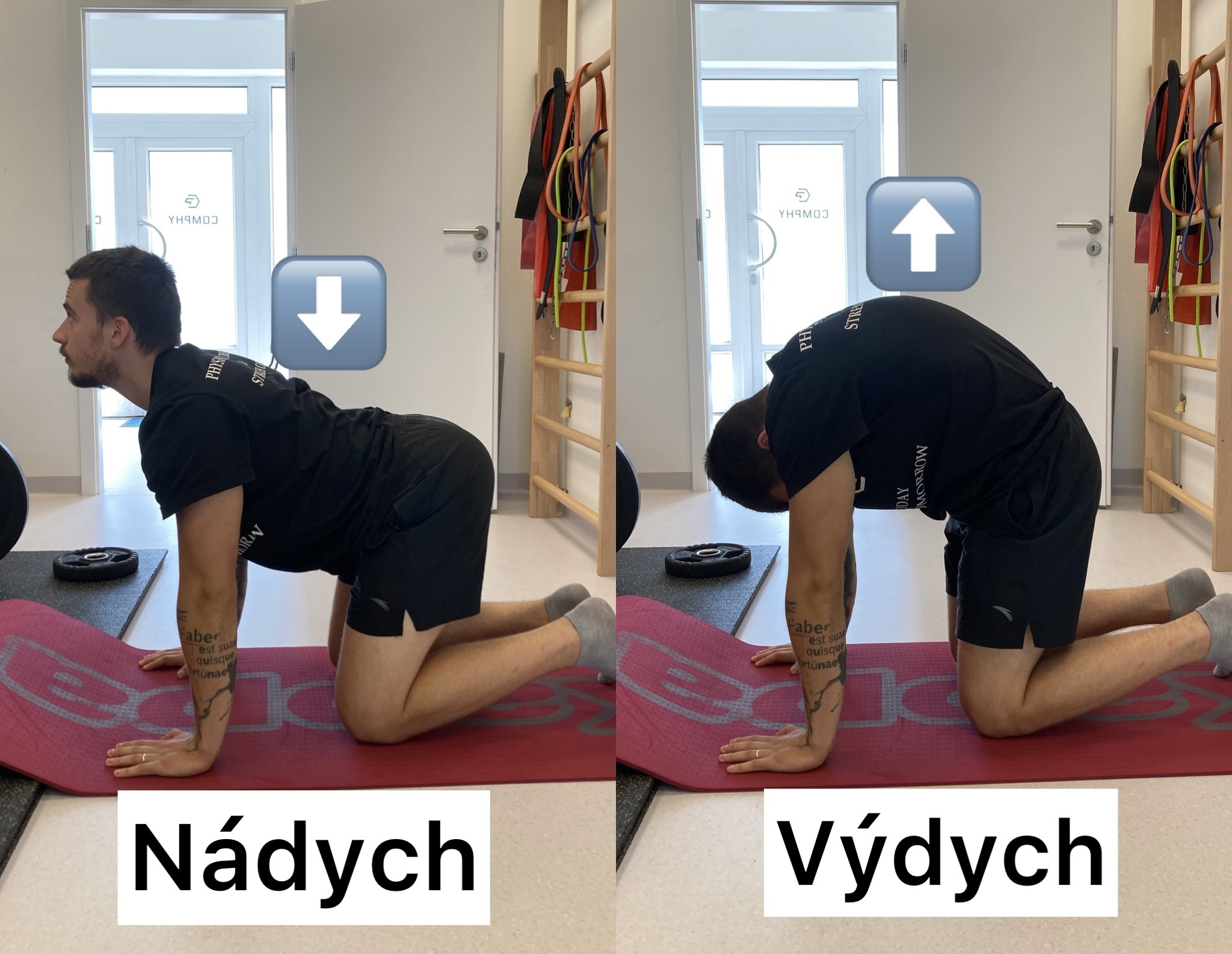 zdravé sedenie, Ako na zdravé sedenie bez bolestí