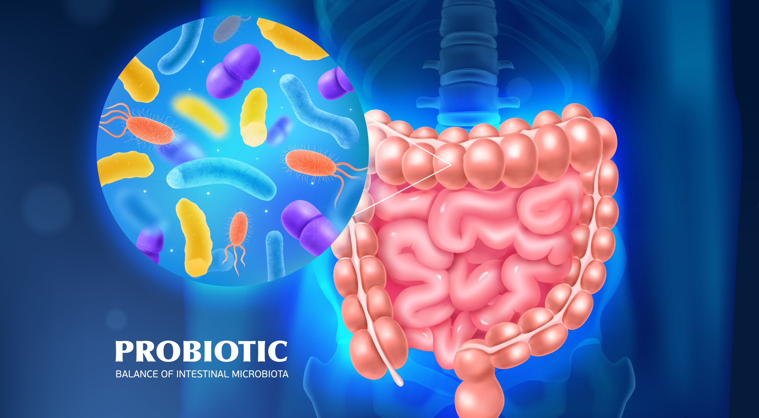 probiotikum, Probiotikum ako skvelý pomocník pri chudnutí – toto si nevedela!