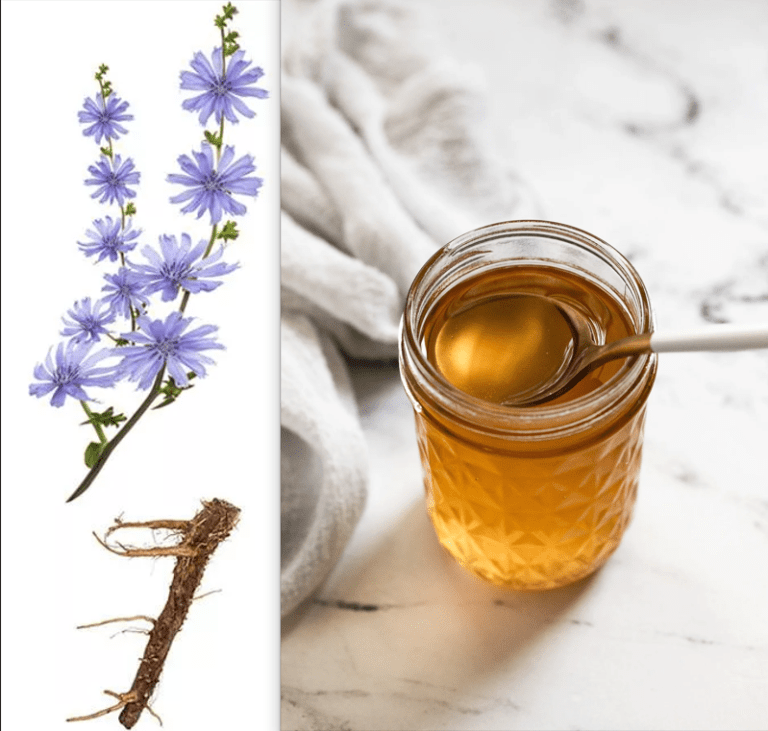 čakankový sirup