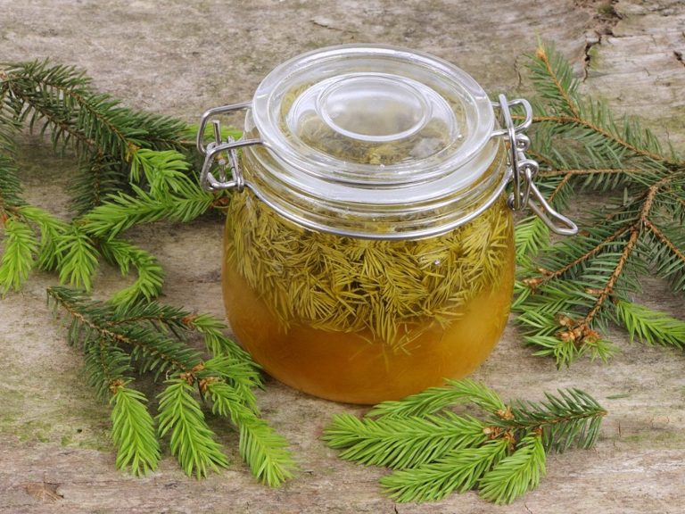 smrekový sirup