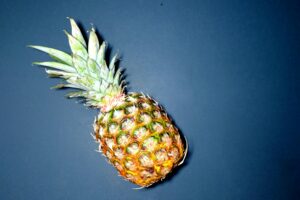bromelaín, Od trávenia po regeneráciu: Kde všade pomáha bromelaín?